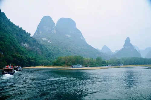 全自动高效高标准